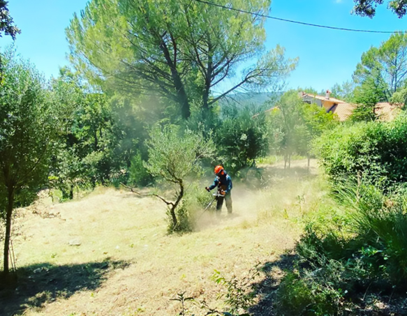 Débroussaillage travaux forestiers