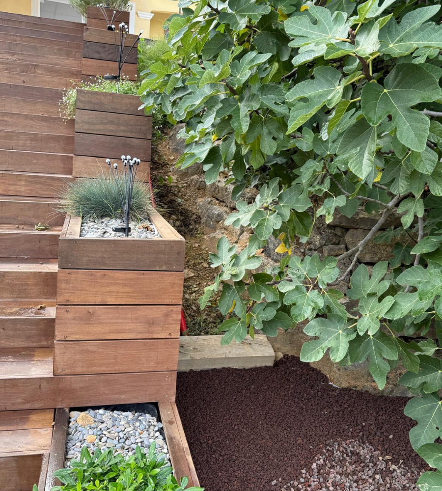 Création jardin Carnoules-10