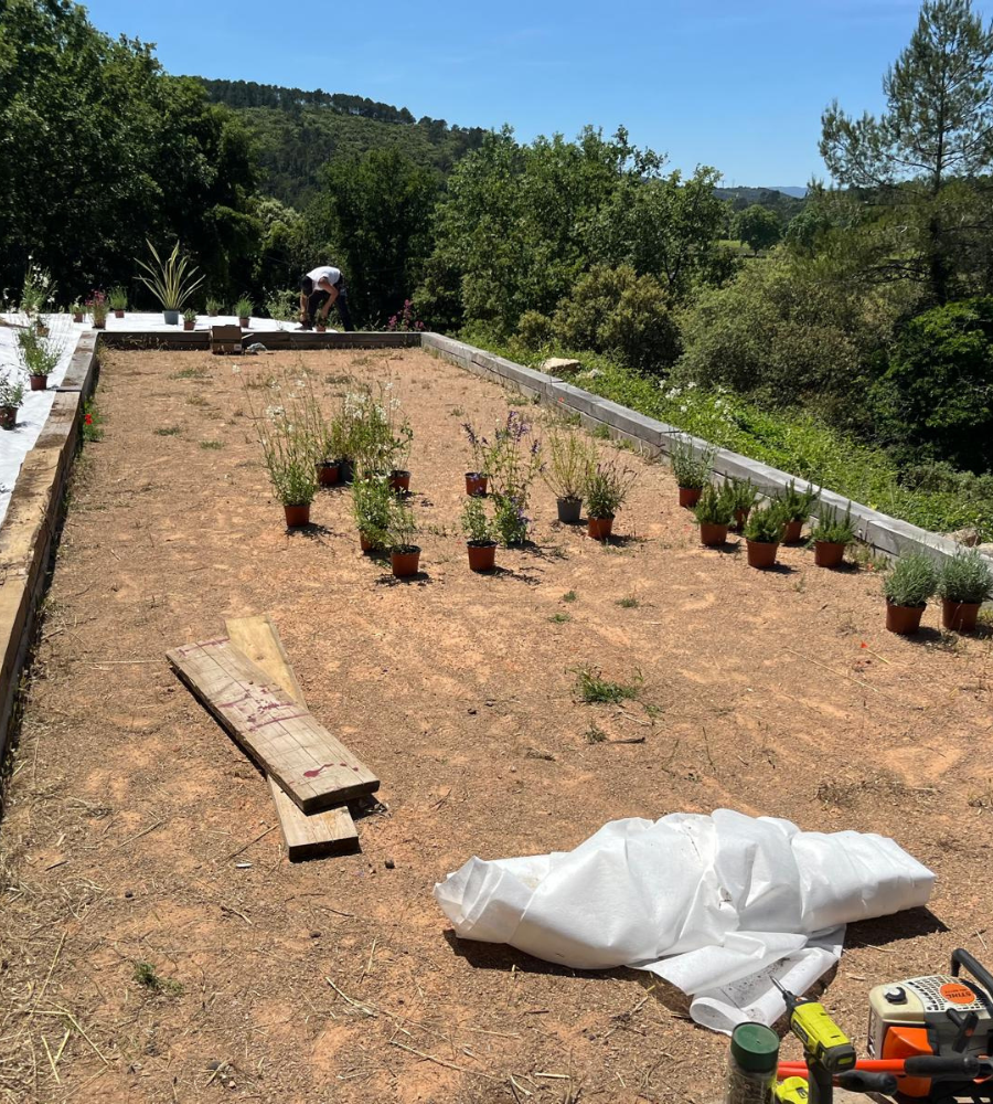 Création jardin Carnoules-3