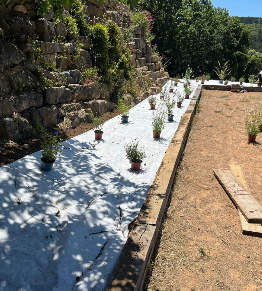 Création jardin Carnoules-4