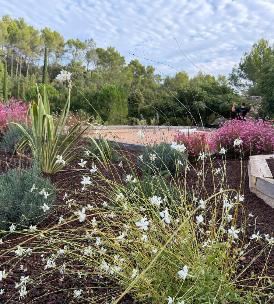 Création jardin Carnoules-5