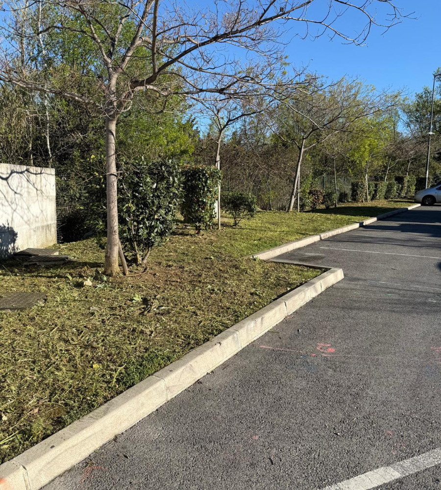 Débroussaillage Six-fours-les-Plages-3