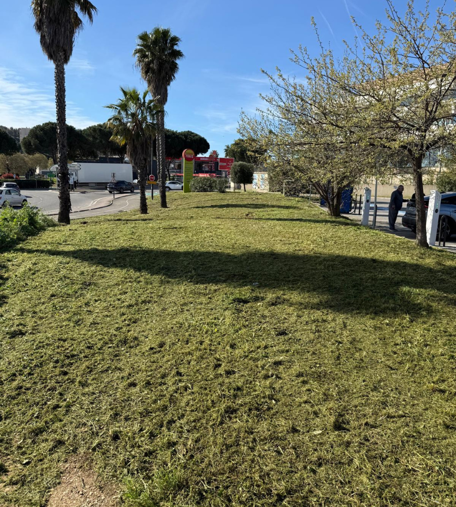 Débroussaillage Six-fours-les-Plages-4