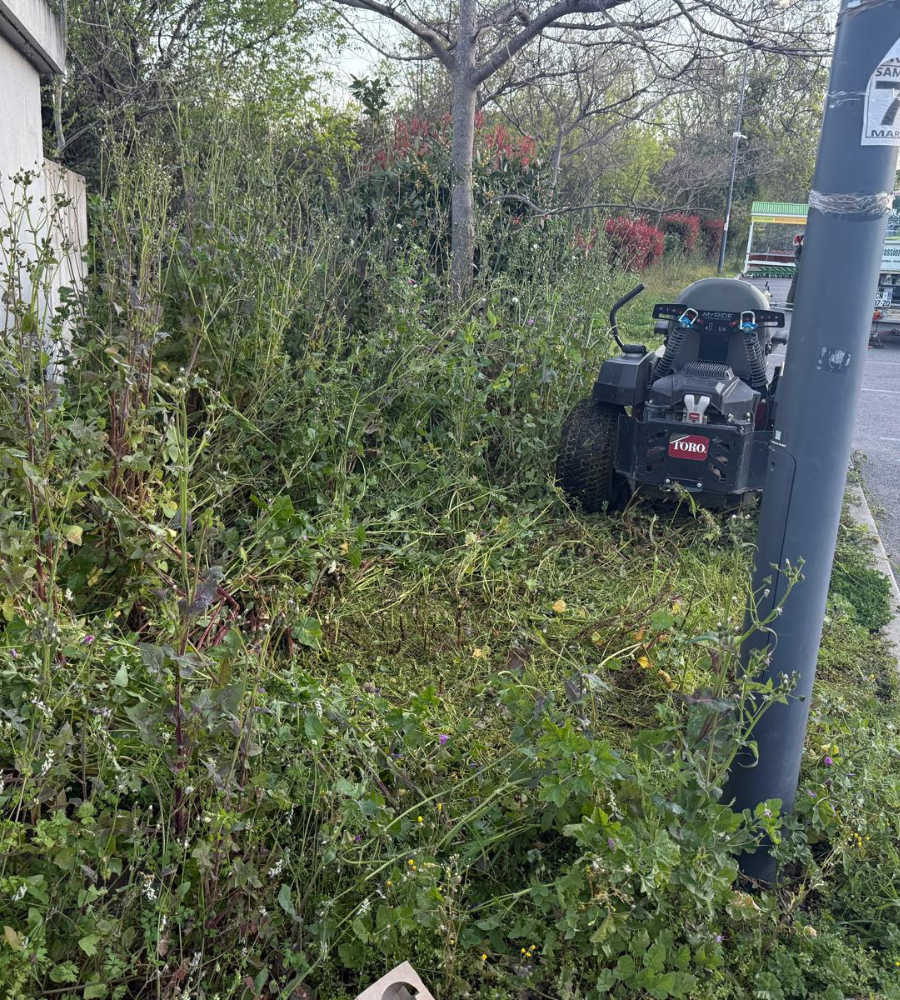 Débroussaillage Six-fours-les-Plages