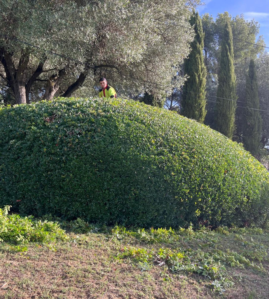 Entretien le Beausset 2