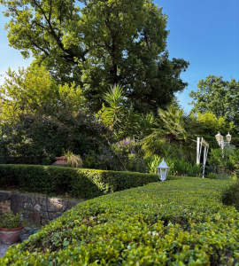 Entretien et taille de végétaux