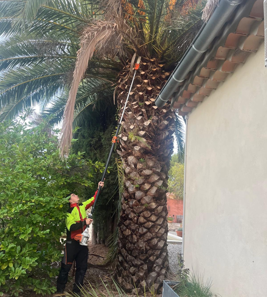 Entretien le Beausset